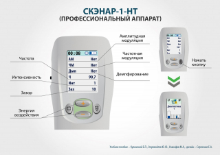 СКЭНАР-1-НТ (исполнение 02.2) Скэнар Оптима в Кстове купить Медицинская техника - denasosteo.ru 