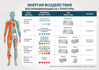 СКЭНАР-1-НТ (исполнение 01)  в Кстове купить Медицинская техника - denasosteo.ru 