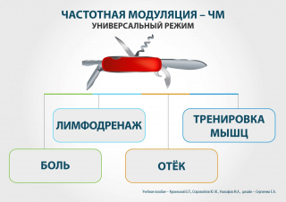 СКЭНАР-1-НТ (исполнение 02.2) Скэнар Оптима в Кстове купить Медицинская техника - denasosteo.ru 